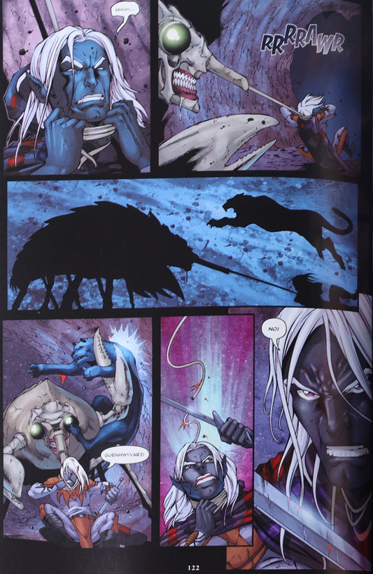 IDW Dungeons & Dragons Forgotten Realms: The Legend of Drizzt Omnibus #1