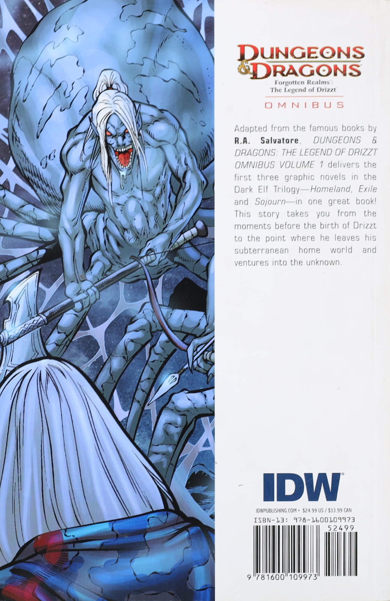 IDW Dungeons & Dragons Forgotten Realms: The Legend of Drizzt Omnibus #1