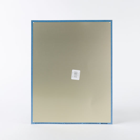 Harry Potter 422nd Quidditch World Cup Poster