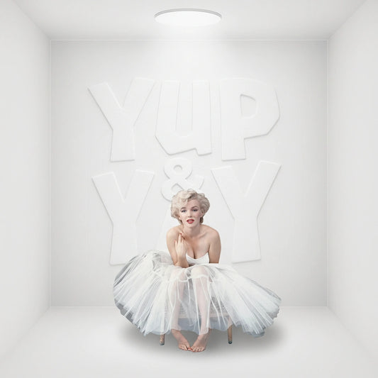 Filmcells Marilyn Monroe MGC Minicell Framed Art, S10