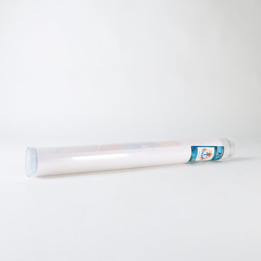 Trend Setters DC Comics Aquaman MightyPrint Wall Art (2018 SDCC Exclusive)