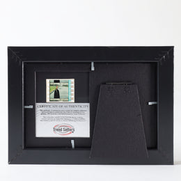 FilmCells Batman Begins S1 Minicell
