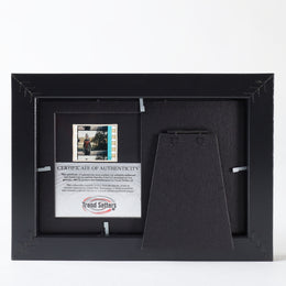 Filmcells Ant-Man Series 1 Minicell Framed Art