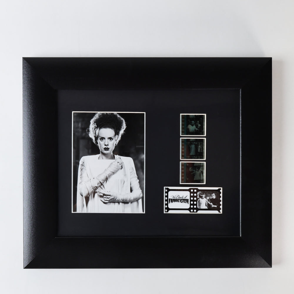 FilmCells Universal Monsters - The Bride of Frankenstein 13"x11" Framed Art