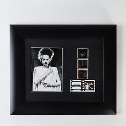FilmCells Universal Monsters - The Bride of Frankenstein 13"x11" Framed Art