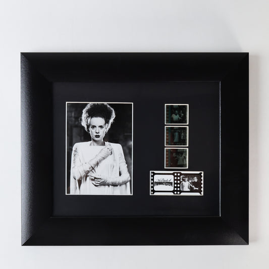 FilmCells Universal Monsters - The Bride of Frankenstein 13"x11" Framed Art