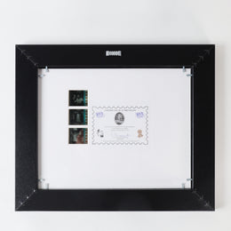FilmCells Universal Monsters - The Bride of Frankenstein 13"x11" Framed Art