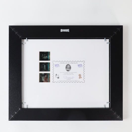 FilmCells Universal Monsters - The Bride of Frankenstein 13"x11" Framed Art