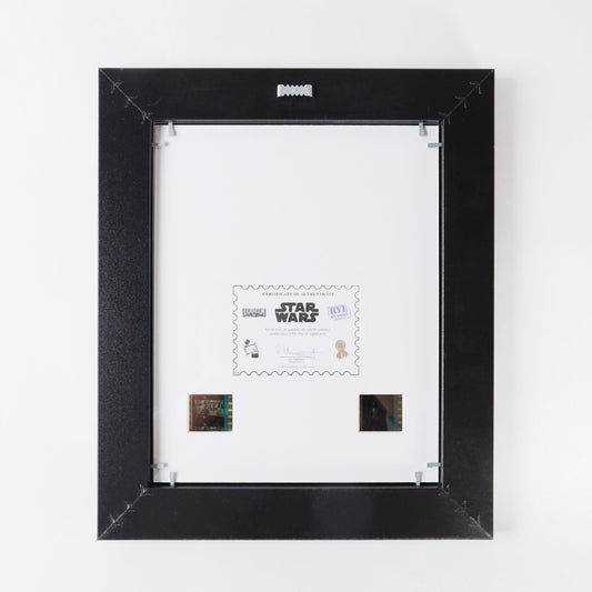 FilmCells Star Wars - C-3PO 11"x13" Framed Art