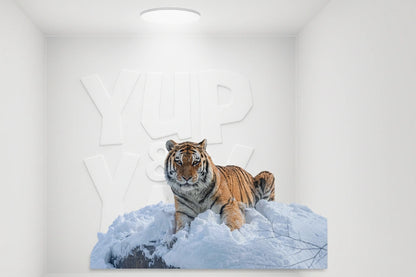 A Zoo In Winter (Hardcover)