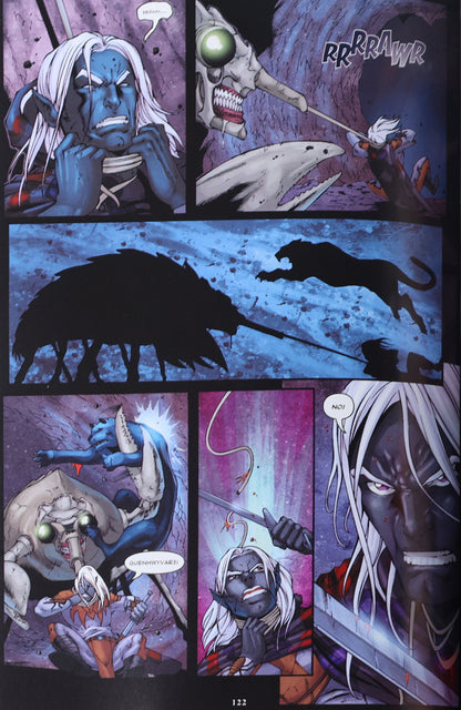 IDW Dungeons & Dragons Forgotten Realms: The Legend of Drizzt Omnibus #1