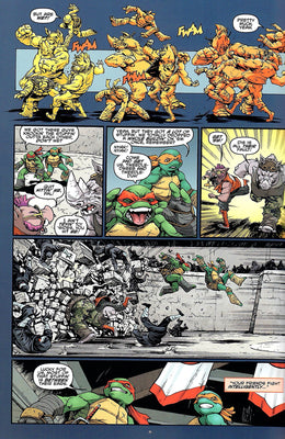 Teenage Mutant Ninja Turtles #50 A Cover IDW 2015 1st print