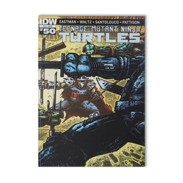 Teenage Mutant Ninja Turtles #50 - CVR B