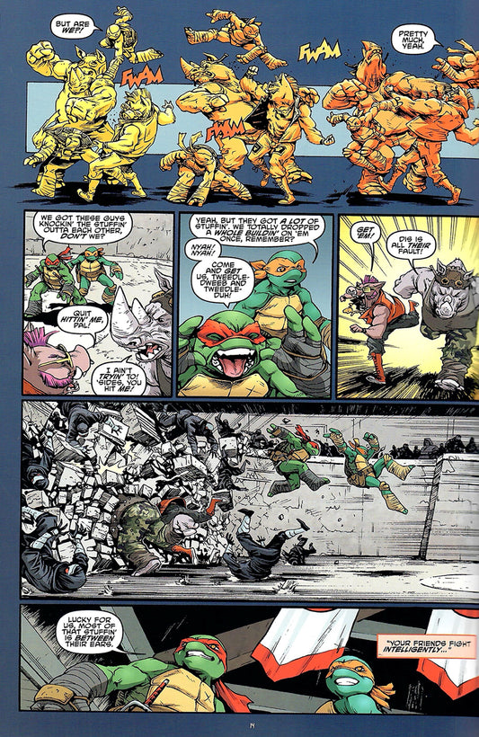 Teenage Mutant Ninsa Turtles #50 - CVR B