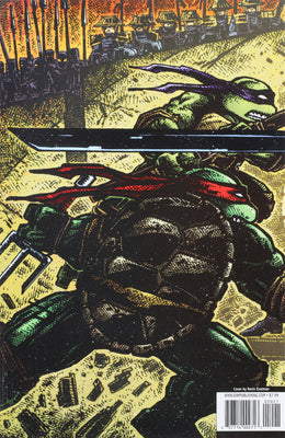 Teenage Mutant Ninja Turtles #50 - CVR B