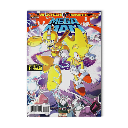 Worlds Unite Mega Man #12 Variant
