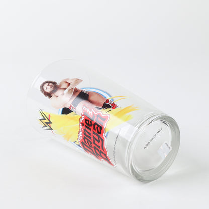 Toon Tumblers Daniel Bryan WWE 16 oz Pint Glass