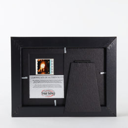 Filmcells Harry Potter 6 Severus Snape Minicell Framed Art