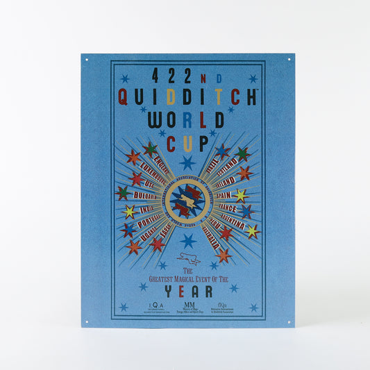Harry Potter 422nd Quidditch World Cup Poster