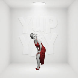 Filmcells Marilyn Monroe MGC Minicell Framed Art, S10