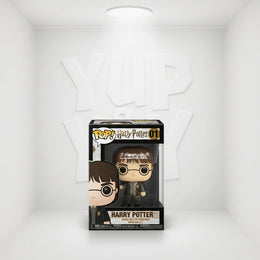 Funko Pop! Pin: Harry Potter - Harry Potter #01