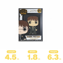 Funko Pop! Pin: Harry Potter - Harry Potter #01