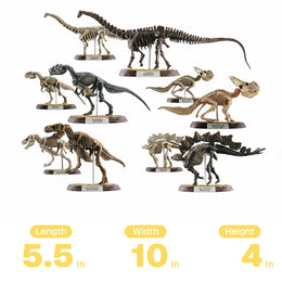F-Toys Dinosaur Masters Display Case - 10 Figures