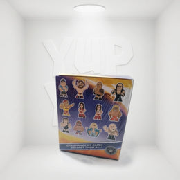 Funko WWE Series 2 Mystery Mini: Vinyl Figure Blind Box