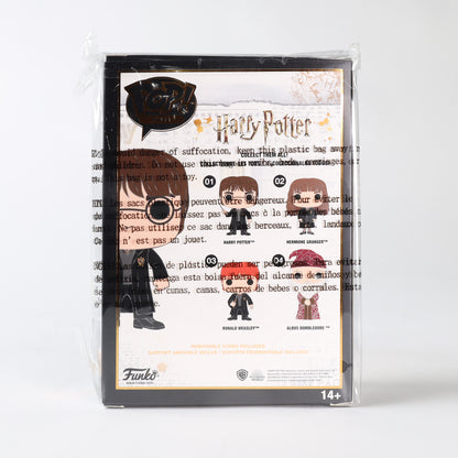 Funko Pop! Pin: Harry Potter - Harry Potter #01