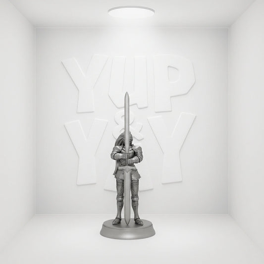 Servant Class Card Trading Figure Blind Box (Set of 2)