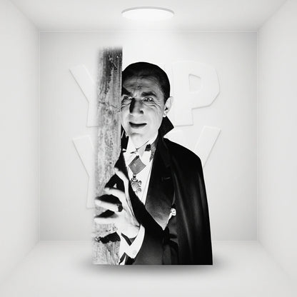 FilmCells Universal Monsters - Dracula (Bela Lugosi 1931) 13"x11" Framed Art