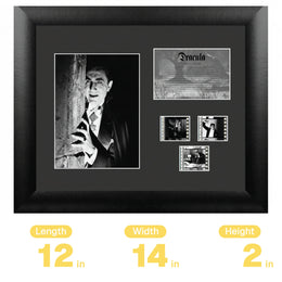 FilmCells Universal Monsters - Dracula (Bela Lugosi 1931) 13"x11" Framed Art
